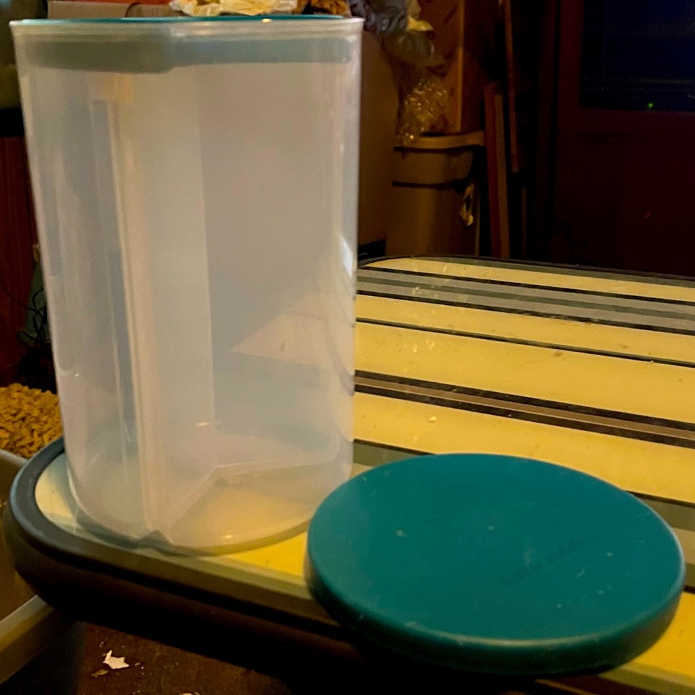 Tupperware 3 divided container